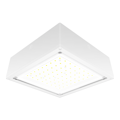 RAB Lighting VANLED52NFW
