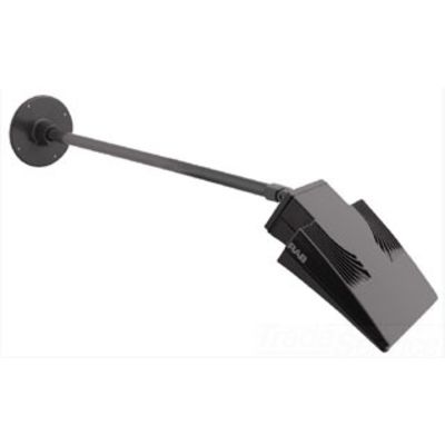 RAB Lighting ARMSV24W