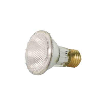 Satco S2231