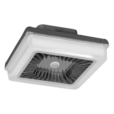 RAB Lighting PRT42N/D10/WS