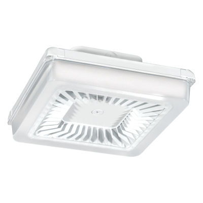 RAB Lighting PRT55W