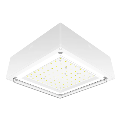RAB Lighting VANLED10YW