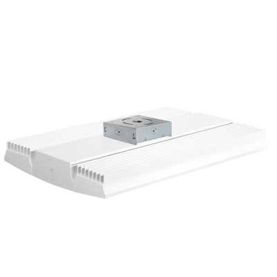 RAB Lighting RAILP150W/D10