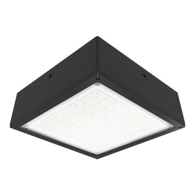 RAB Lighting VANLED52F