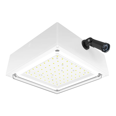 RAB Lighting VANLED10W/PCS