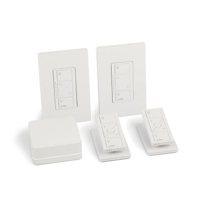 Lutron P-BDG-PKG2W
