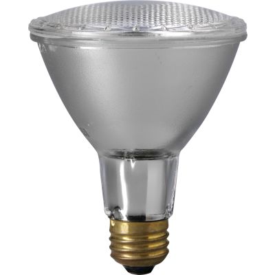 EiKO 60PAR30LN/H/FL-120V