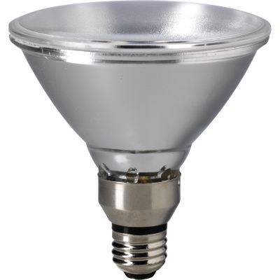 EiKO 60PAR38/H/FL-120V
