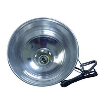 Coleman 162