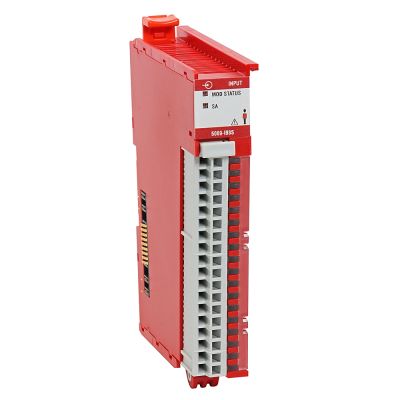 Rockwell Automation 5069-IB8S