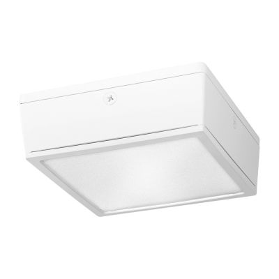 RAB Lighting VANLED20YFFRW