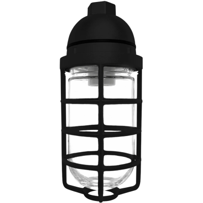 RAB Lighting VP100DGB