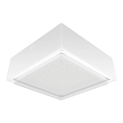 RAB Lighting VANLED20NFRW