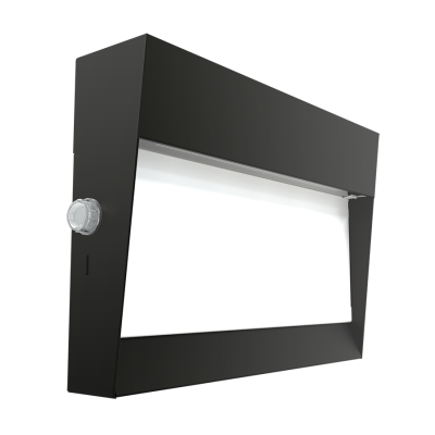 RAB Lighting W17-55L/PCU