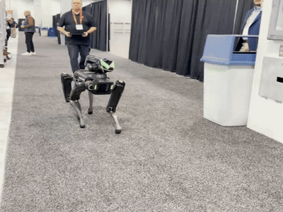robot dog